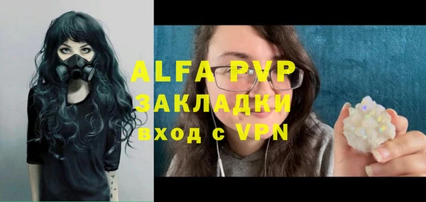 крисы Богородицк