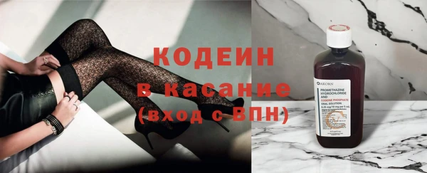 крисы Богородицк