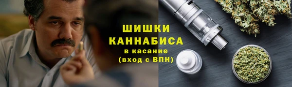 крисы Богородицк