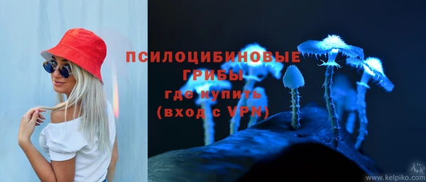 a pvp Богородск