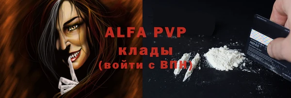 крисы Богородицк