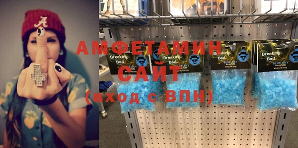крисы Богородицк