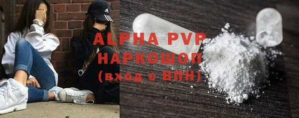 крисы Богородицк