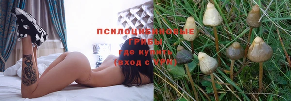 крисы Богородицк